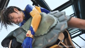 zepe44_021_l