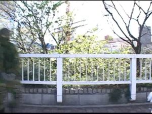 zufn19.mp4.0005