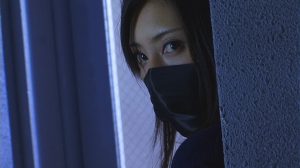 zhpd28_13_l
