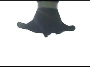 zjpr02.mp4.0001