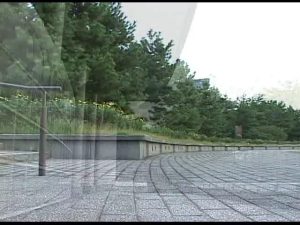 zjpr06.mp4.0008