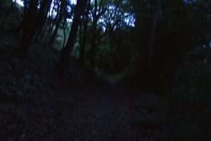 zmx13_05_l