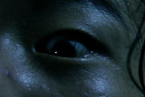 zmx15_05_l
